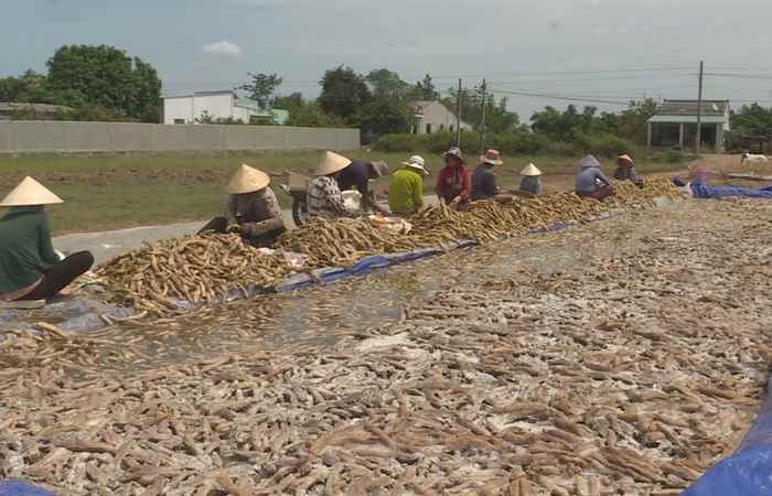 Sóc Trăng: Một số ngành nghề nông thôn hiệu quả (23-07-2024)